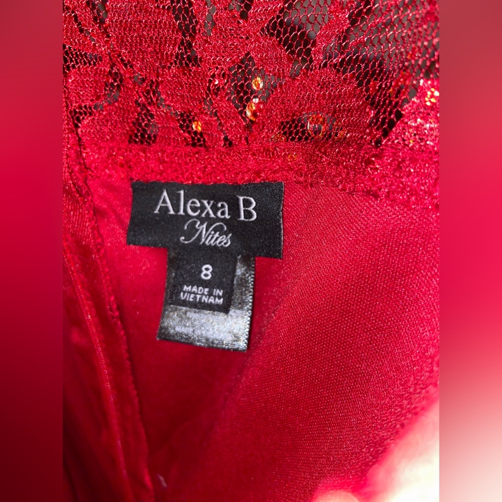 Alexa B Nites Womens Lace Cocktail Dress Size 8 Red Floral Ruffle Sequin-EUC - Picture 3 of 3